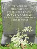 image of grave number 100113